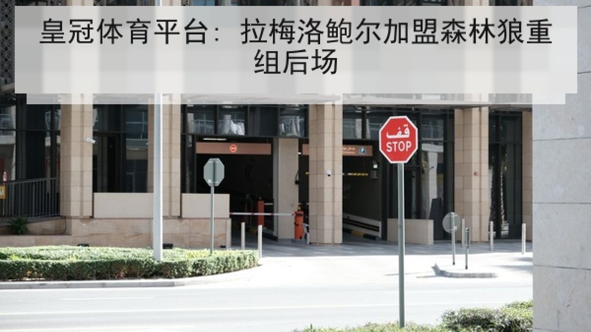 皇冠体育平台: 拉梅洛鲍尔加盟森林狼重组后场 皇冠体育平台: 拉梅洛鲍尔加盟森林狼重组后场