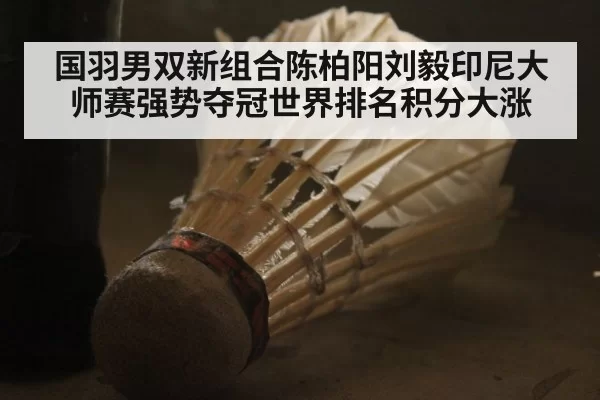 国羽男双新组合陈柏阳刘毅印尼大师赛强势夺冠世界排名积分大涨