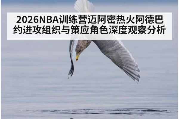 2026NBA训练营迈阿密热火阿德巴约进攻组织与策应角色深度观察分析